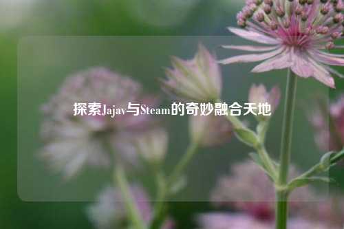探索Jajav与Steam的奇妙融合天地