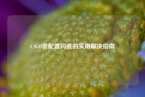 CSGO低配置闪退的实用解决指南