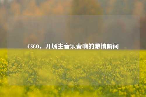 CSGO，开场主音乐奏响的激情瞬间