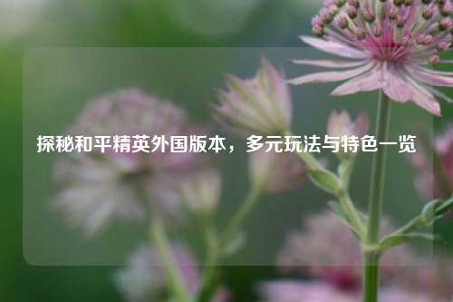 探秘和平精英外国版本,多元玩法与特色一览
