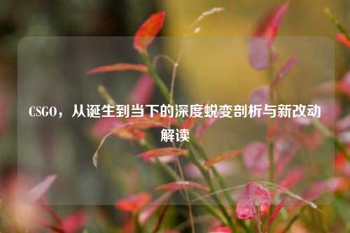 CSGO,从诞生到当下的深度蜕变剖析与新改动解读
