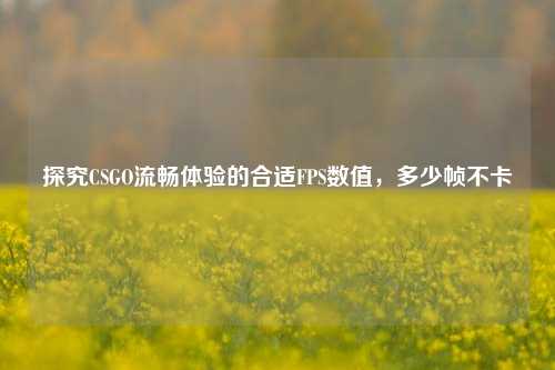 探究CSGO流畅体验的合适FPS数值,多少帧不卡