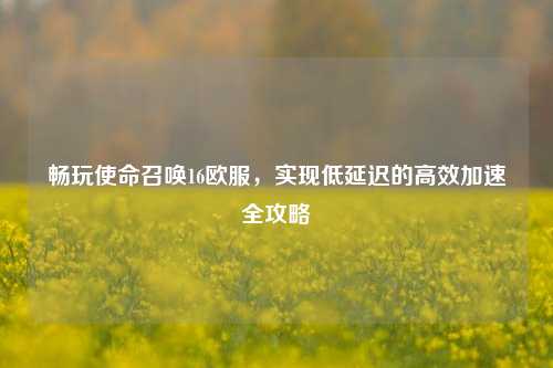 畅玩使命召唤16欧服，实现低延迟的高效加速全攻略