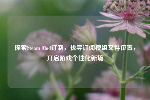 探索Steam Mod订制,找寻订阅模组文件位置,开启游戏个性化新境