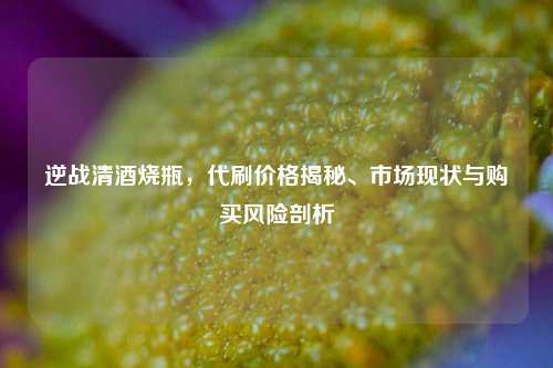 逆战清酒烧瓶,代刷价格揭秘、市场现状与购买风险剖析