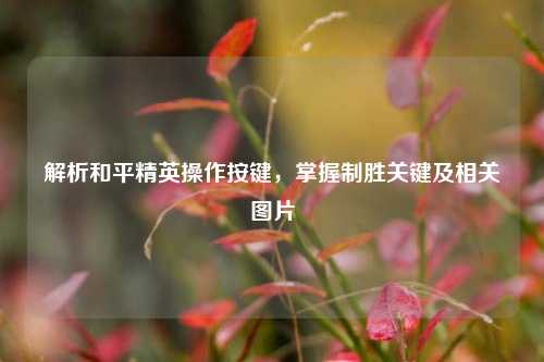 解析和平精英操作按键,掌握制胜关键及相关图片
