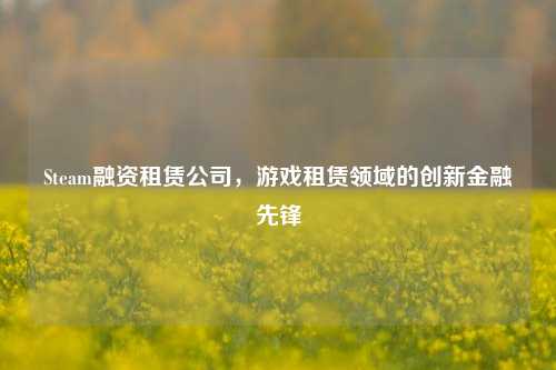 Steam融资租赁公司,游戏租赁领域的创新金融先锋