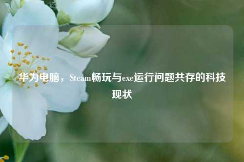 华为电脑,Steam畅玩与exe运行问题共存的科技现状