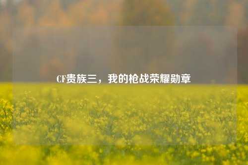 CF贵族三,我的枪战荣耀勋章