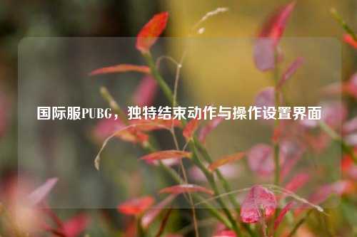 国际服PUBG,独特结束动作与操作设置界面