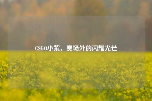 CSGO小紫,赛场外的闪耀光芒