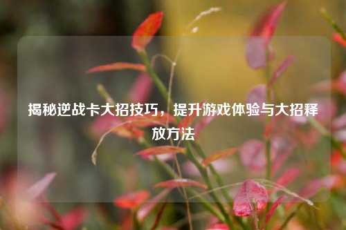 揭秘逆战卡大招技巧,提升游戏体验与大招释放方法