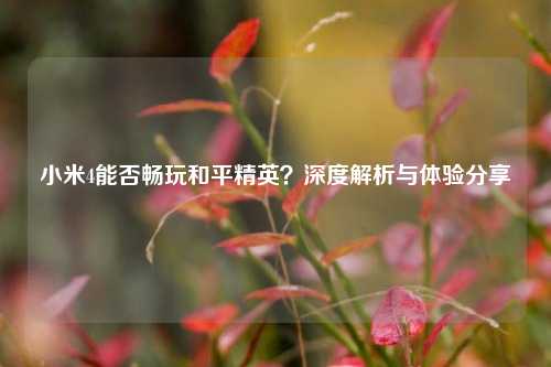 小米4能否畅玩和平精英？深度解析与体验分享