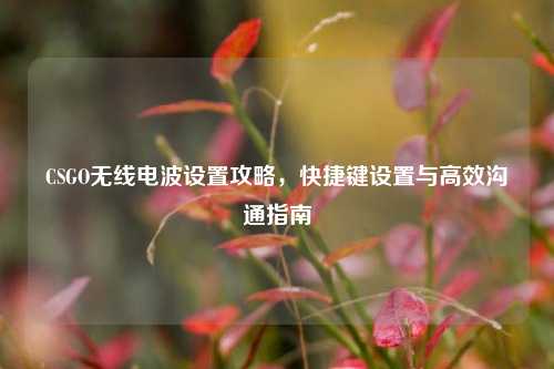 CSGO无线电波设置攻略,快捷键设置与高效沟通指南