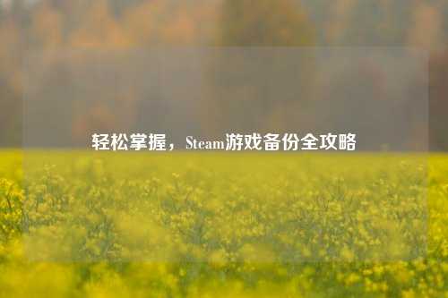 轻松掌握,Steam游戏备份全攻略
