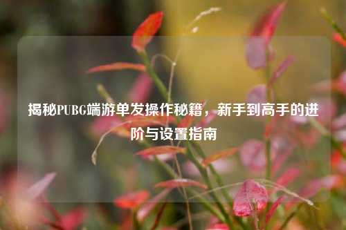 揭秘PUBG端游单发操作秘籍,新手到高手的进阶与设置指南