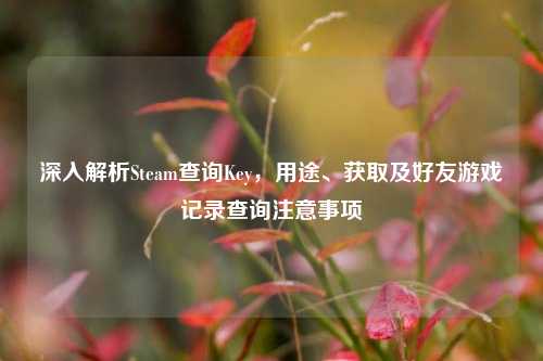 深入解析Steam查询Key,用途、获取及好友游戏记录查询注意事项