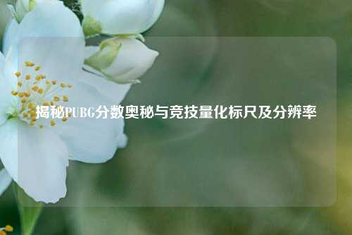揭秘PUBG分数奥秘与竞技量化标尺及分辨率