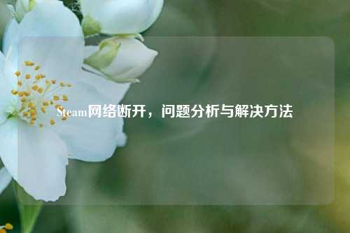 Steam网络断开，问题分析与解决方法