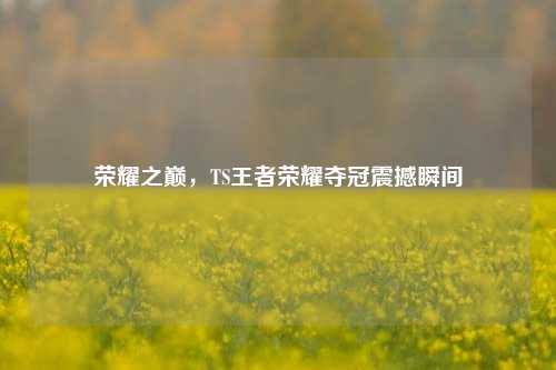 荣耀之巅，TS王者荣耀夺冠震撼瞬间