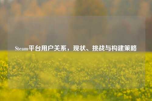 Steam平台用户关系,现状、挑战与构建策略