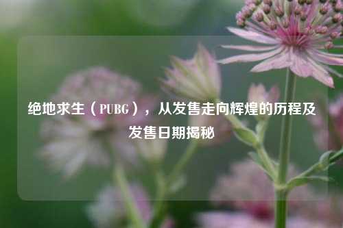 绝地求生(PUBG),从发售走向辉煌的历程及发售日期揭秘