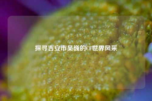 探寻吉安市吴巍的CF世界风采