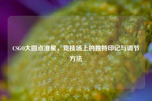 CSGO大圆点准星,竞技场上的独特印记与调节方法