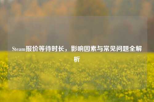 Steam报价等待时长,影响因素与常见问题全解析