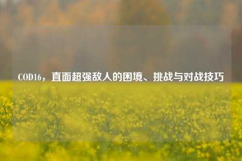 COD16，直面超强敌人的困境、挑战与对战技巧