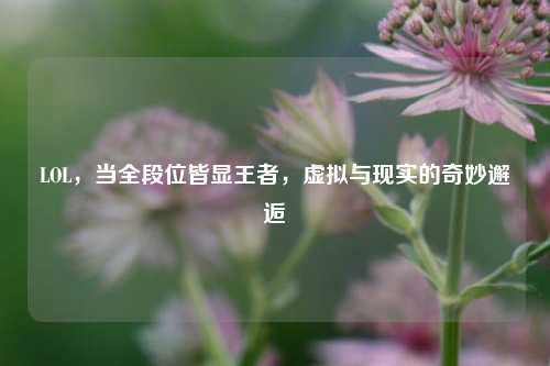 LOL,当全段位皆显王者,虚拟与现实的奇妙邂逅