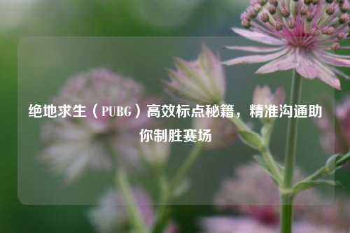 绝地求生（PUBG）高效标点秘籍，精准沟通助你制胜赛场