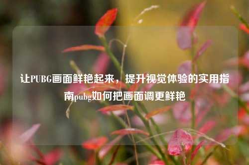 让PUBG画面鲜艳起来,提升视觉体验的实用指南pubg如何把画面调更鲜艳