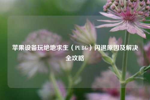 苹果设备玩绝地求生(PUBG)闪退原因及解决全攻略