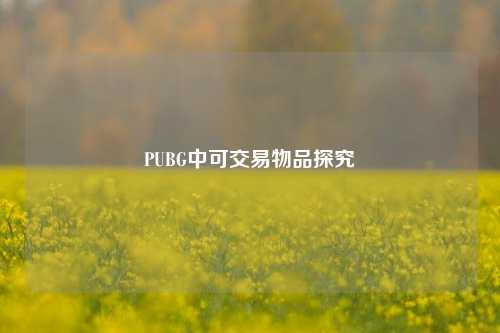 PUBG中可交易物品探究