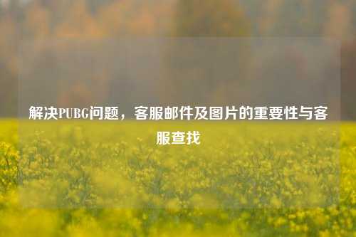 解决PUBG问题,客服邮件及图片的重要性与客服查找