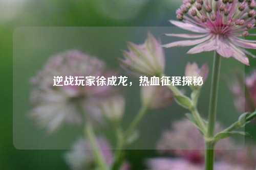 逆战玩家徐成龙，热血征程探秘