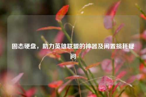 固态硬盘,助力英雄联盟的神器及闲置损耗疑问