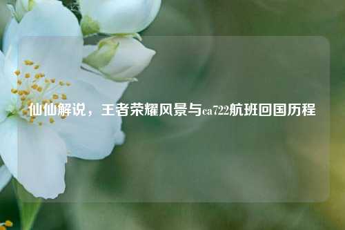 仙仙解说,王者荣耀风景与ca722航班回国历程