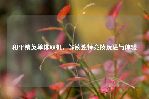 和平精英单排双机,解锁独特竞技玩法与体验