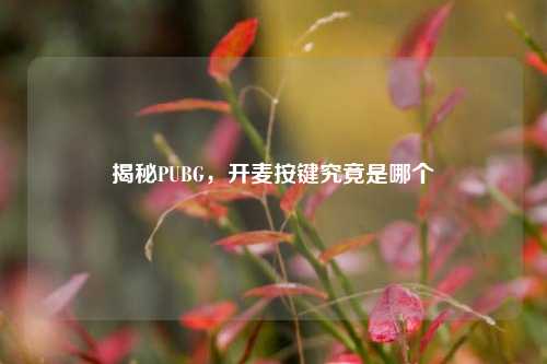 揭秘PUBG,开麦按键究竟是哪个