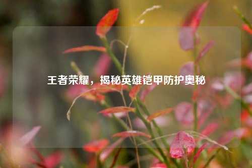 王者荣耀,揭秘英雄铠甲防护奥秘