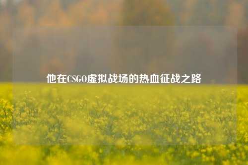 他在CSGO虚拟战场的热血征战之路