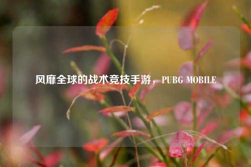 风靡全球的战术竞技手游,PUBG MOBILE