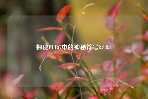 探秘PUBG中的神秘符号8.8.8.8