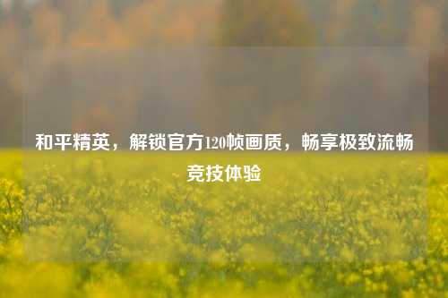 和平精英,解锁官方120帧画质,畅享极致流畅竞技体验