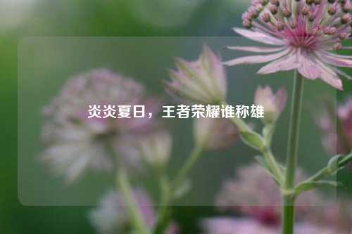 炎炎夏日,王者荣耀谁称雄