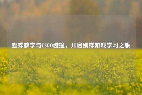 蝴蝶教学与CSGO碰撞,开启别样游戏学习之旅