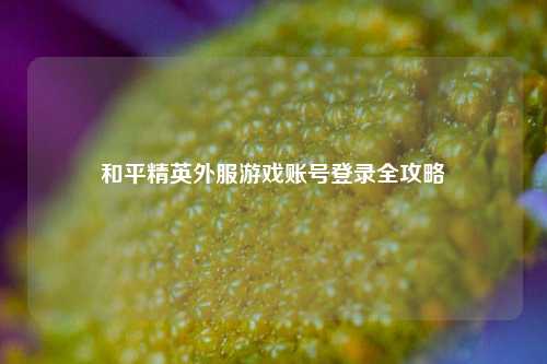 和平精英外服游戏账号登录全攻略