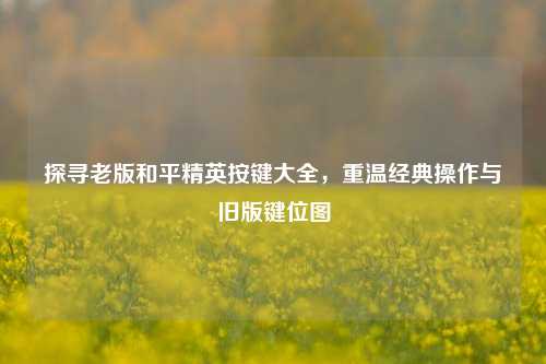 探寻老版和平精英按键大全，重温经典操作与旧版键位图